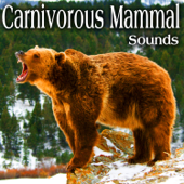 Carnivorous Mammal Sounds - The Hollywood Edge Sound Effects Library