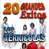 Los Terricolas - Soy Romántico