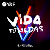 Vida Tú Me Das artwork