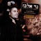 Fiesta (feat. Shlomi Shabat) - Gad Elbaz lyrics