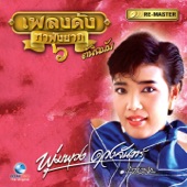 น้ำตาหางเครื่อง artwork