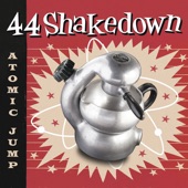 44 Shakedown - Boogie Woogie Nighthawk