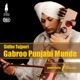 GABROO PUNJABI MUNDE cover art