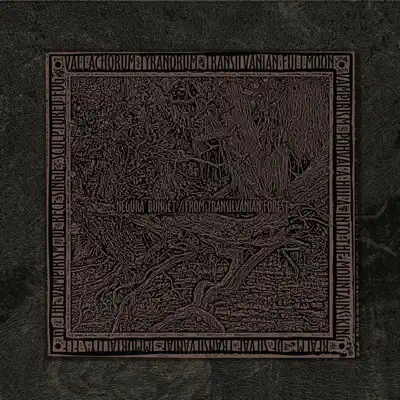 From Transilvanian Forest - Negura Bunget From Transilvanian Forest - Negura Bunget