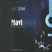 Mavi Siyah artwork