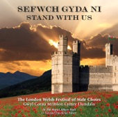 Stand With Us (Sefwch Gyda Ni) artwork