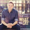 What You Say - Single, 2014