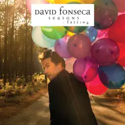 Seasons - Falling - David Fonseca