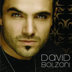 David Bolzoni - David Bolzoni