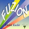 Fuzion, Vol. 3: Vérité kaché, 1996