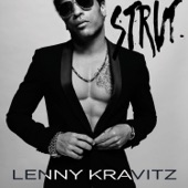 Lenny Kravitz - Ooo Baby Baby