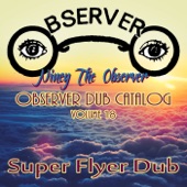 Observer Dub Catalog, Vol. 18 (Super Flyer Dub) artwork