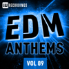 EDM Anthems Vol. 09 - Various Artists