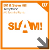 Temptation (Technikal Remix) artwork