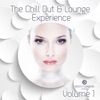 The Chill Out & Lounge Experience, Vol. 1 (Finest Edition in Smooth Relaxation), 2014
