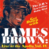 James Brown - Never Can Say Goodbye