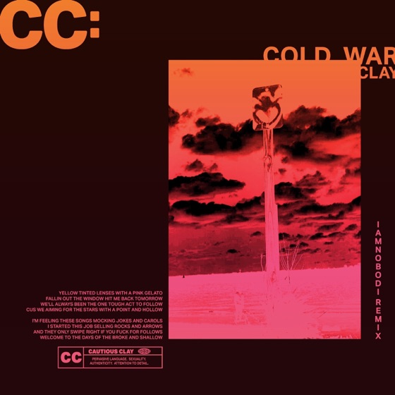 Cover artwork for Cold War (IAMNOBODI Remix)