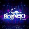 Festival Blognejo (Ao Vivo), 2017