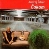 ANDREJ ŠIFRER - Za prijatelje / rock izvedba