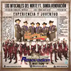 Experiencia y Juventud (feat. Los Intocables del Norte) - Banda Renovación Experiencia y Juventud (feat. Los Intocables del Norte) - Banda Renovación