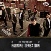 Burning Sensation - EP artwork