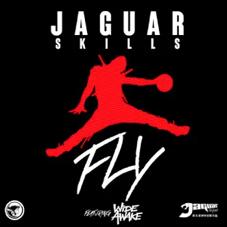 FLY (feat. WiDE AWAKE) by Jaguar Skills song reviws