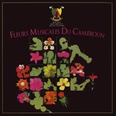 Fleurs Musicales Du Cameroun artwork