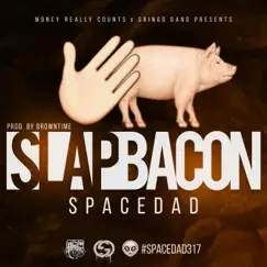 Slap Bacon - Single by Spacedad album reviews, ratings, credits