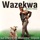 Felix Wazekwa-Alex mfumu nsi hymne national