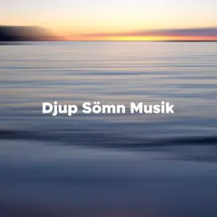 Djup Sömn Musik - New Age Bakgrundsmusik by Asia Hindi album reviews, ratings, credits