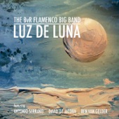 Luz de Luna (feat. Antonio Serrano) artwork