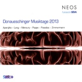 Donaueschinger Musiktage 2013 artwork