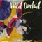 Wild Orchid - Colcannon lyrics