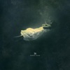 Reunion / Deluge - Single