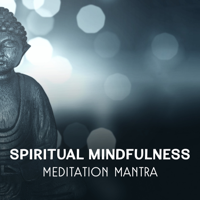 Meditative Mantra Zone - Spiritual Mindfulness – Meditation Mantra, Inner Healing, Mind Relaxation, Self Confidence & Esteem, Tranquil Music for Blissful Contemplation artwork
