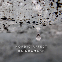 Nordic Affect - Raindamage artwork
