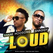 Loud (feat. Shaggy) artwork