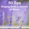 Pure Spa Massage Music - Healing Oriental Spa Collection lyrics