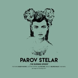 Parov Stelar - The Burning Spider (feat. Lightin Hopkins)