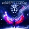 Perfect Universe (Remixes), 2017