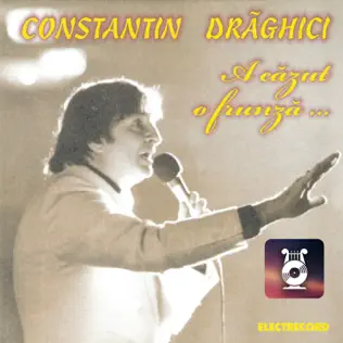 descargar álbum Constantin Drăghici - A Căzut O Frunză