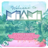 Welcome to Miami 2017 (Continuous DJ-Mix) artwork