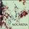 Fluida - Nocardia lyrics