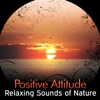 Positive Attitude - Relaxing Sounds of Nature, New Age Music, Better Sleep and Calm Life, Yoga Lesson, Time for Meditation