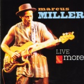 Marcus Miller - Summertime (Live)