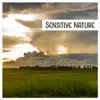 Sensitive Nature – Calmness & Tranquil, Relaxing Sound Nature, Ambient Music, Yoga Meditation album lyrics, reviews, download