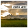 Sensitive Nature – Calmness & Tranquil, Relaxing Sound Nature, Ambient Music, Yoga Meditation