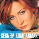 Gurbet Gelini