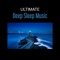 Flow Zen Silent - Deep Sleep Sanctuary lyrics
