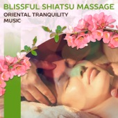 Massage Background Music artwork
